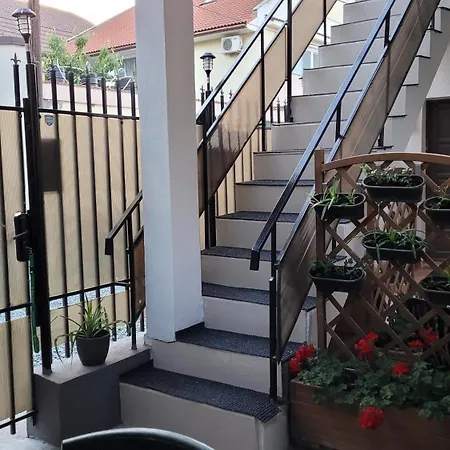 Dalex 艾福雷诺德