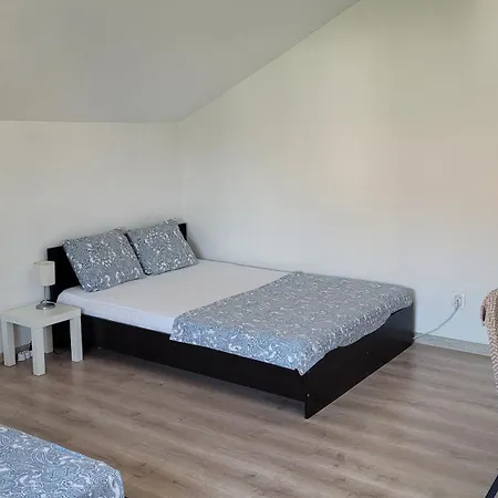 Dalex Guest house *